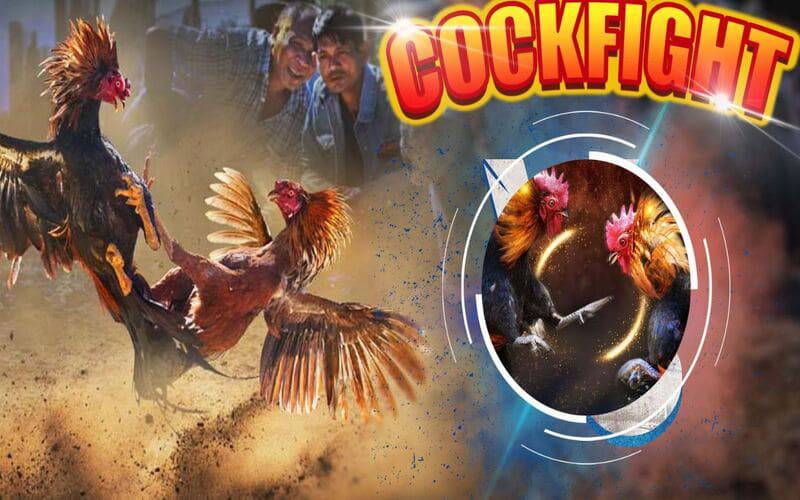 Ứng dụng Benbet APK có an toàn không? Làm thế nào để tôi xác minh tính xác thực của nó? - Benbet