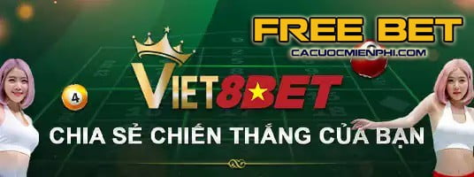 Cung cấp trải nghiệm người dùng ở cấp độ Benbet trên tất cả các ứng dụng, PIX, trò chơi và dịch vụ khách hàng - Benbet